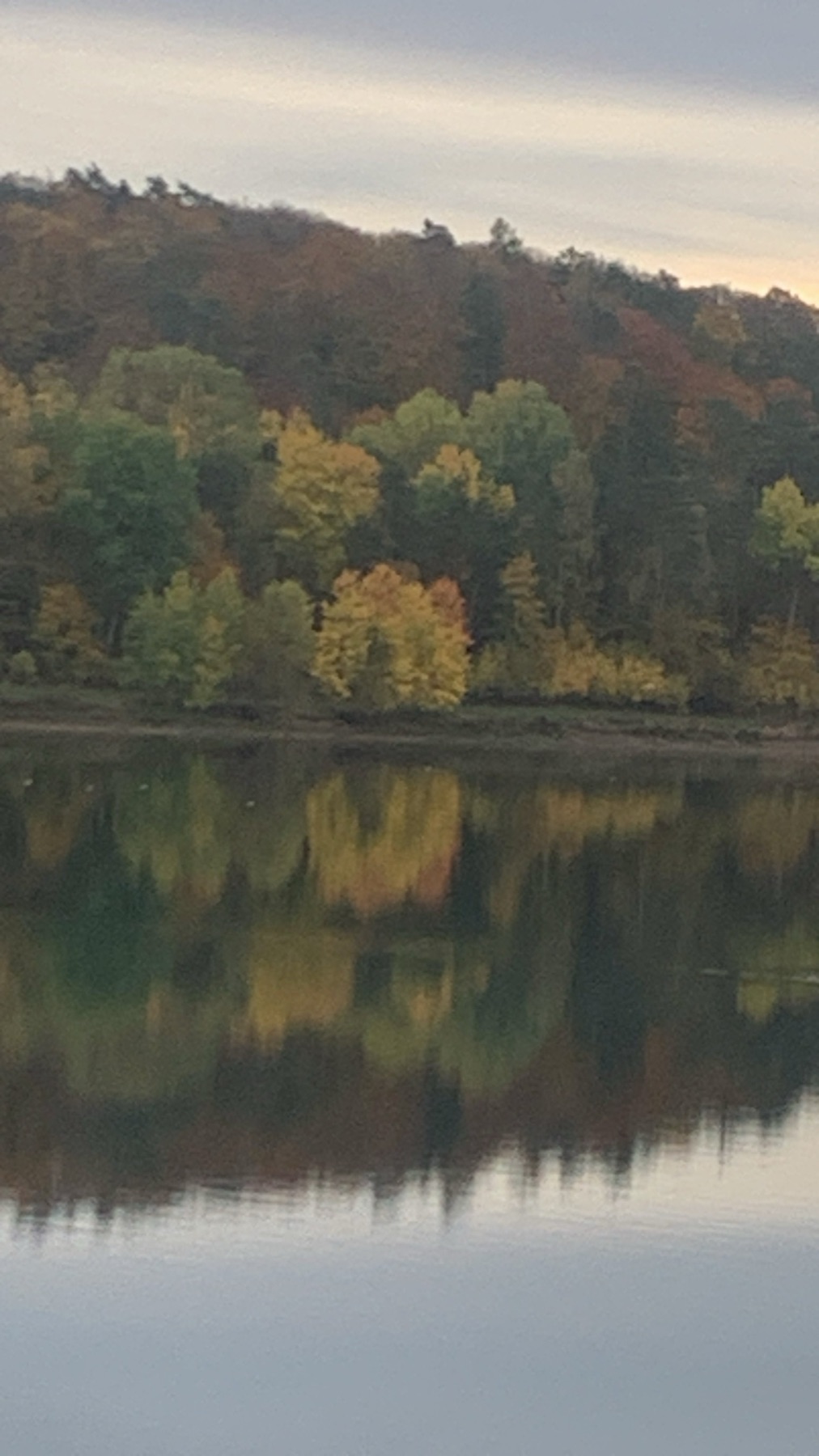 Ufer und Landschaft am Twistesee